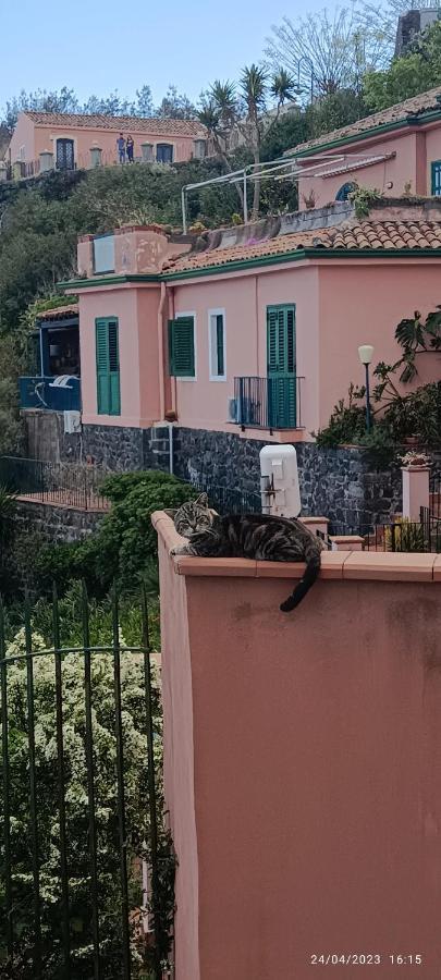 Willa La Timpa Acireale Zewnętrze zdjęcie
